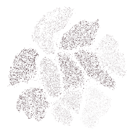 T-SNE Image